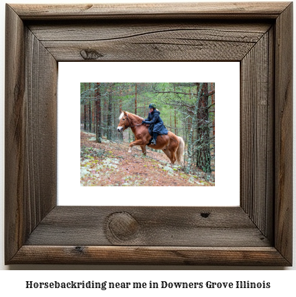 horseback riding near me in Downers Grove, Illinois